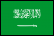 SA flag icon